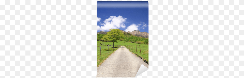 Straight Road In Meadow And Mt, Nature, Outdoors, Scenery, Path Free Png Download