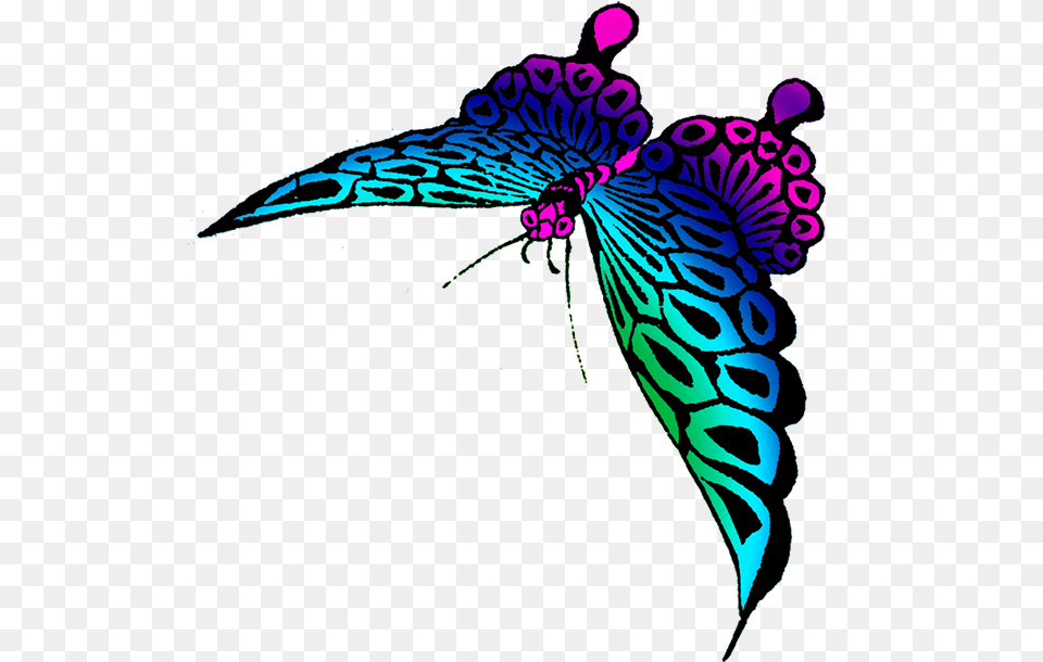 Strange Colored Butterfly Transparent Colorful Butterfly, Art, Graphics, Pattern, Animal Png Image