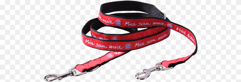 Strap, Leash Free Png Download