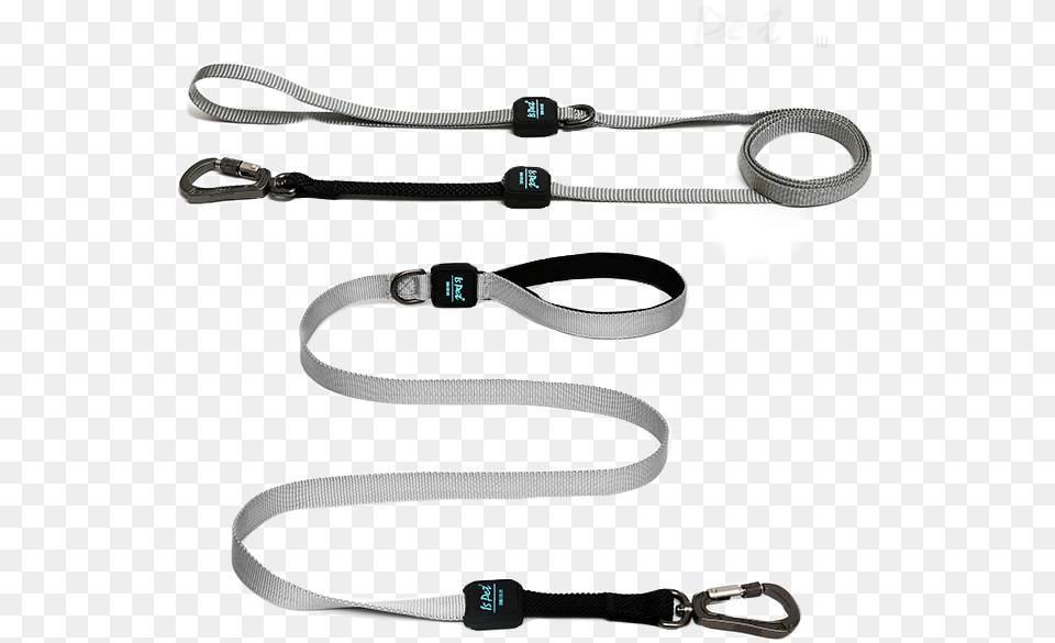 Strap, Accessories, Belt, Leash Free Png Download
