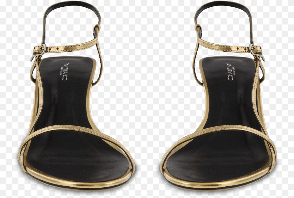 Strap, Clothing, Footwear, Sandal, Accessories Png