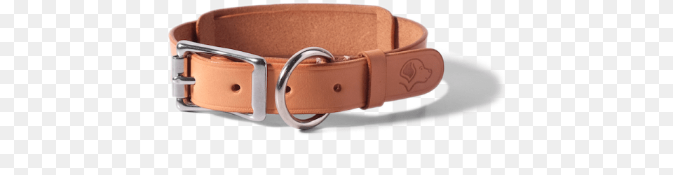Strap, Accessories, Buckle, Belt Free Png
