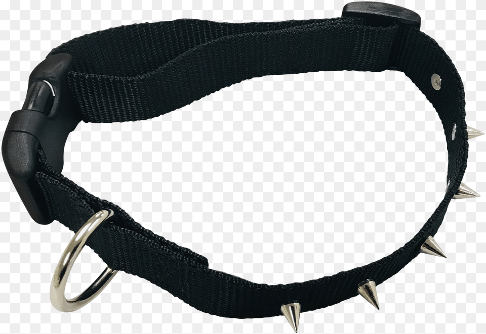 Strap, Accessories, Collar Free Png