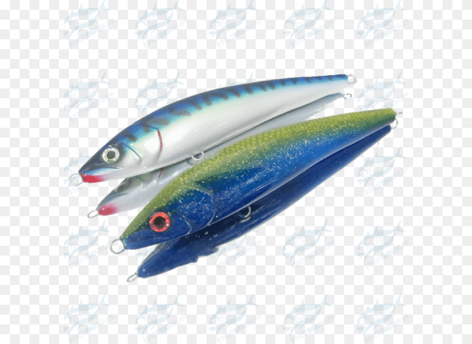 Strategic Angler Cl Walking Series F Sardine, Animal, Fish, Sea Life, Fishing Lure Free Transparent Png