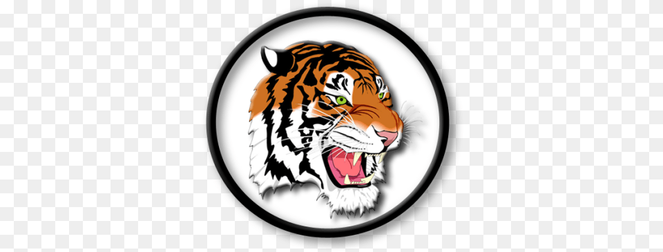 Strategies New Boston Local Schools Ohio, Animal, Mammal, Tiger, Wildlife Png