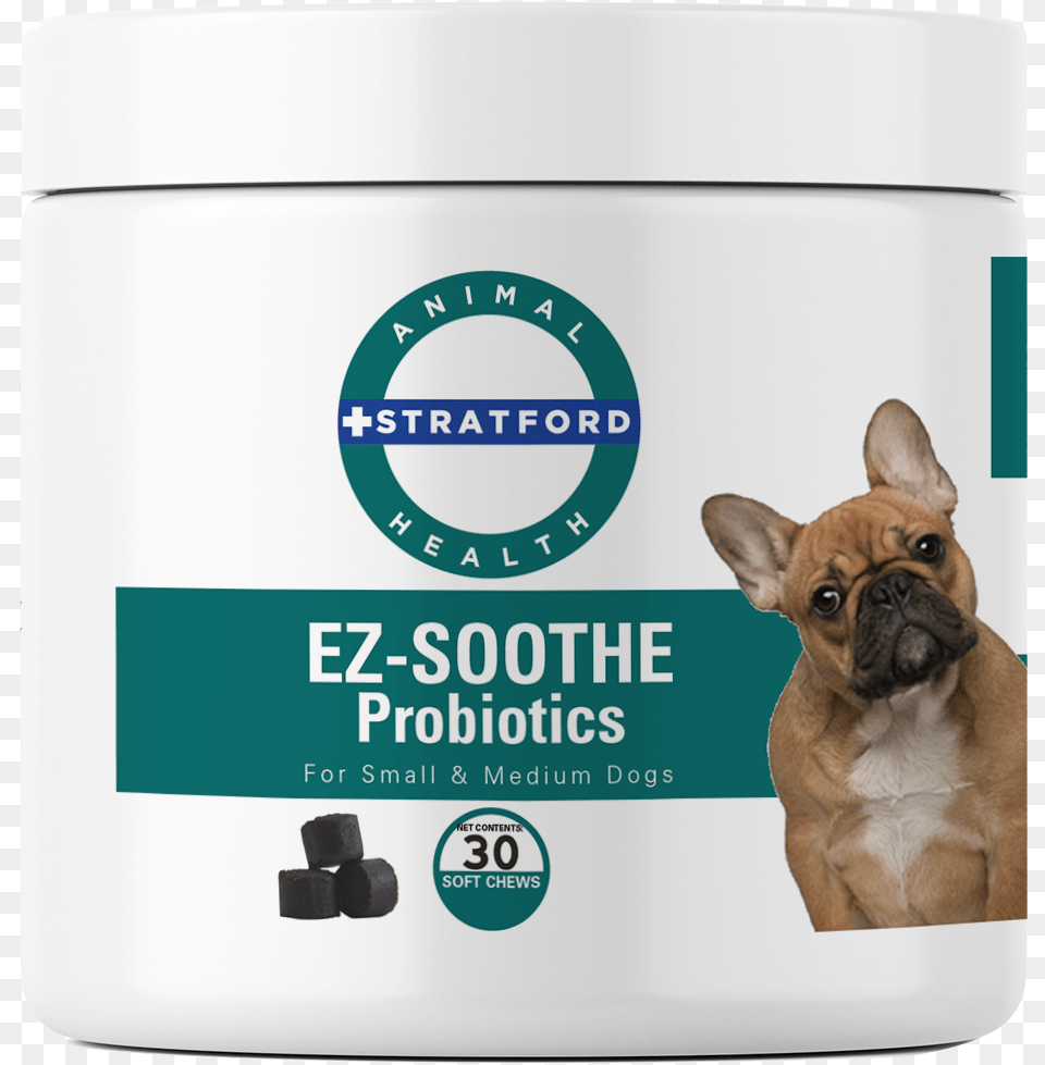 Stratford Ez Soothe, Animal, Canine, Dog, Mammal Free Png