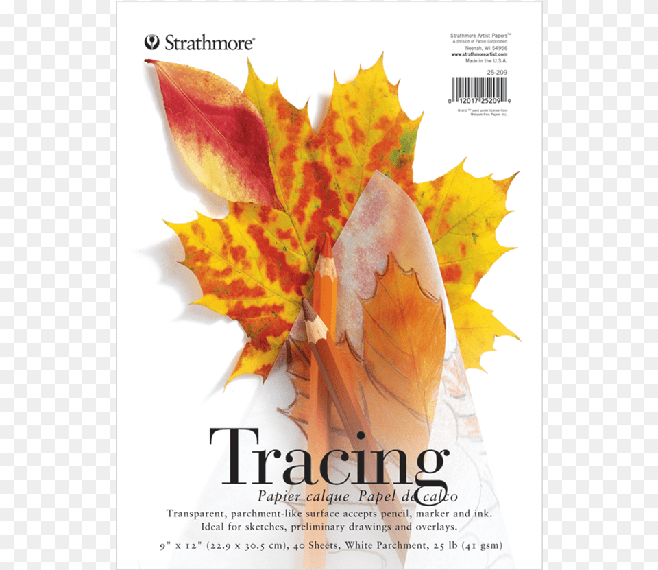Strathmore Student Tracing Pad, Advertisement, Leaf, Plant, Tree Png
