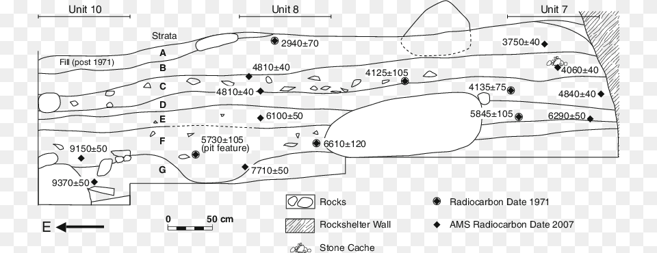 Stratigraphic Profile Of The Casita De Piedra Rockshelter Diagram, Chart, Plot, Plant, Vegetation Png