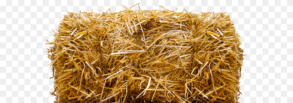 Straw Countryside, Nature, Outdoors Free Png