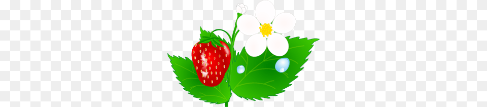 Straw Images Icon Cliparts, Berry, Food, Fruit, Plant Free Transparent Png