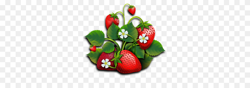 Strawberries Berry, Food, Fruit, Plant Free Png Download