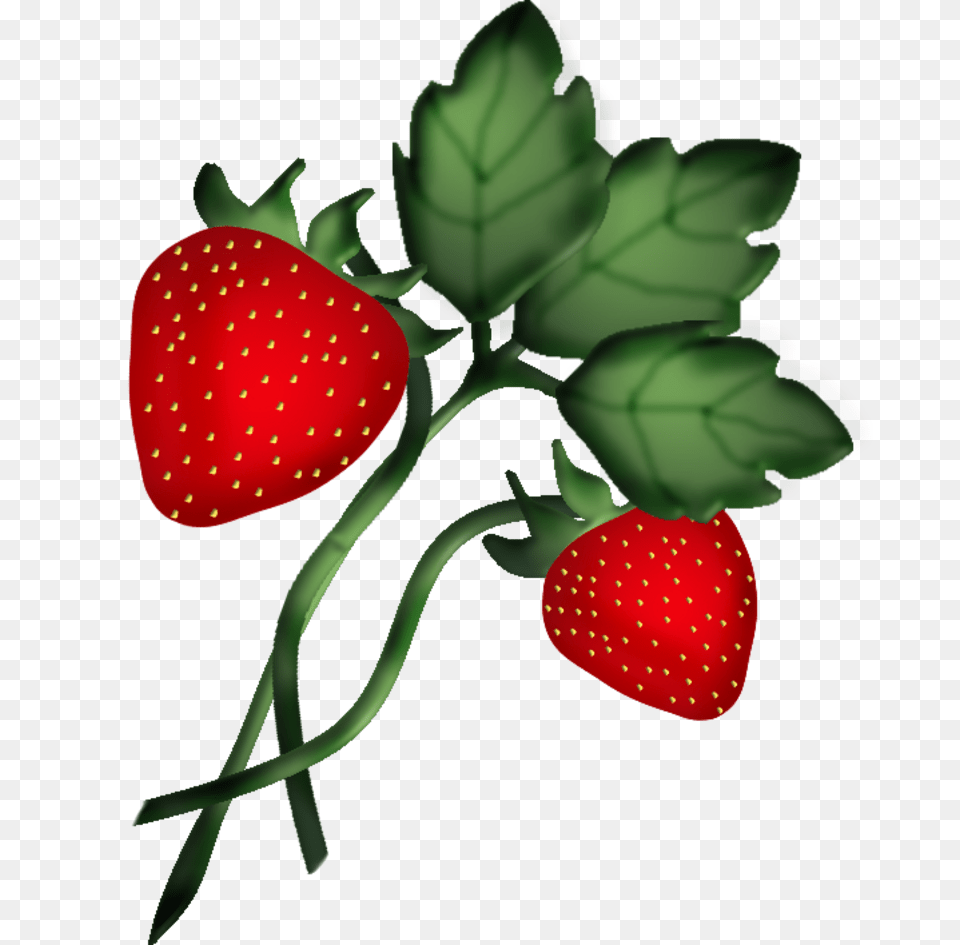 Strawberries Clip Art Clip Art, Berry, Food, Fruit, Plant Free Png Download