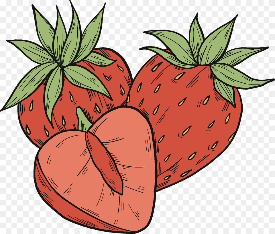 Strawberries Clipart, Berry, Food, Fruit, Plant Free Png