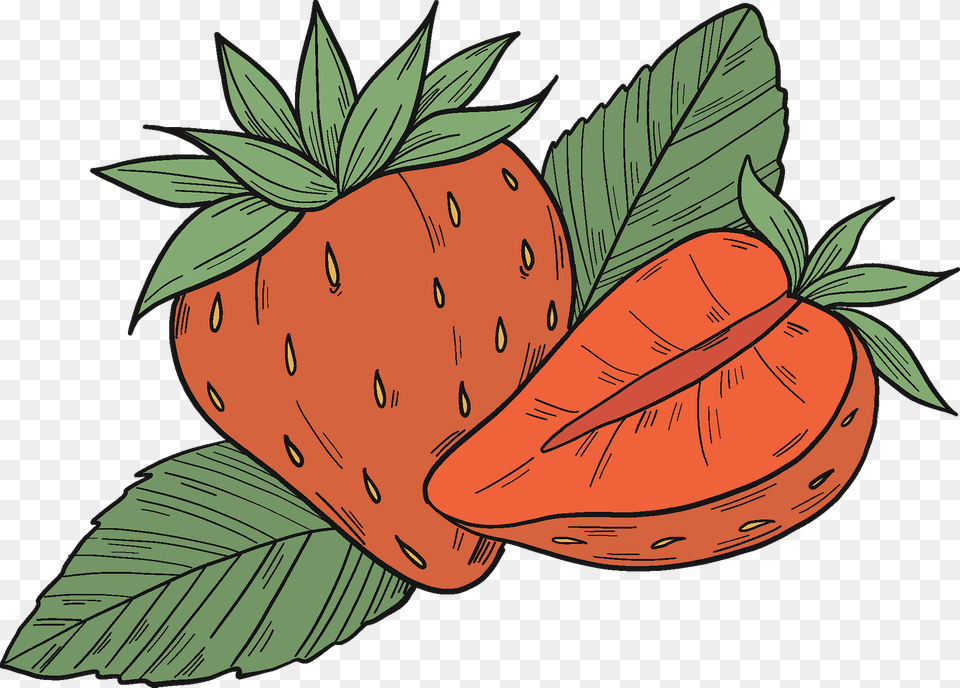 Strawberries Clipart, Strawberry, Berry, Produce, Food Png