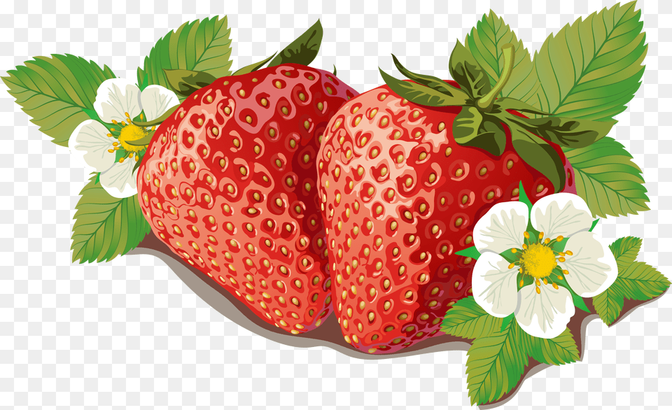 Strawberries Clipart Orange Transparent Clip Art Strawberry Plants, Berry, Food, Fruit, Plant Png