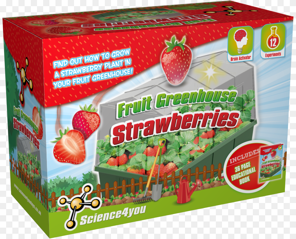 Strawberries Greenhouse Educational Kit Content, Berry, Food, Fruit, Plant Free Png