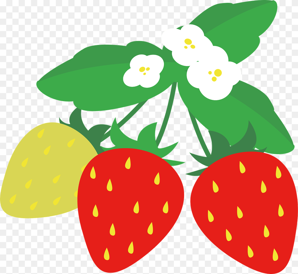Strawberries On The Plant Clipart, Berry, Food, Fruit, Produce Free Png