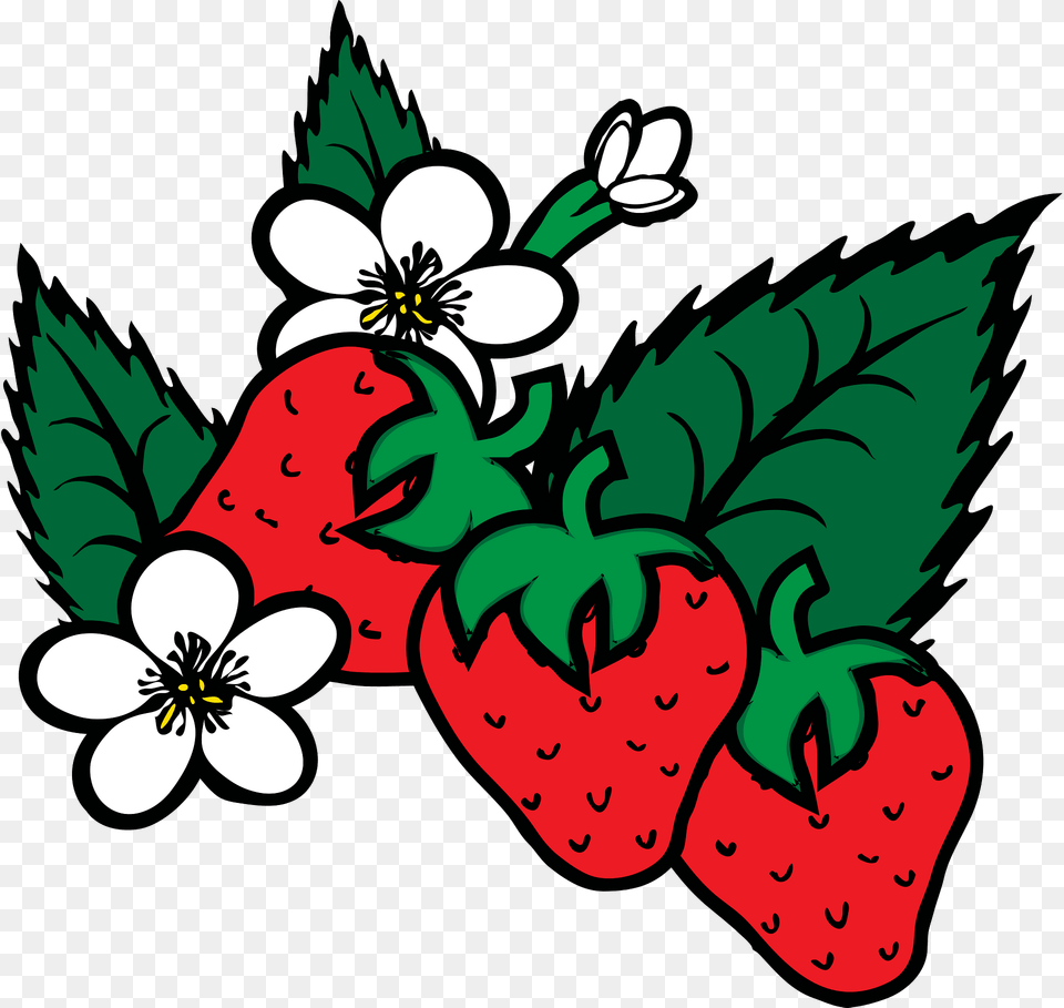 Strawberries Plants With White Flowers And Leaves Clipart, Berry, Food, Fruit, Plant Png