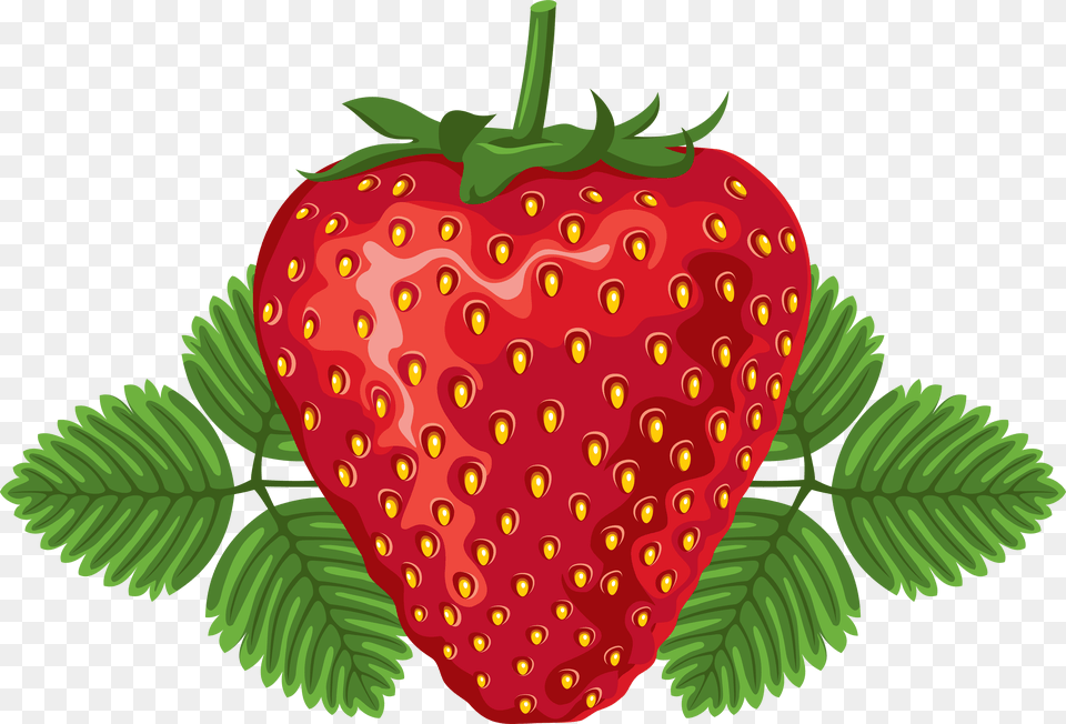 Strawberry, Berry, Food, Fruit, Plant Free Png Download