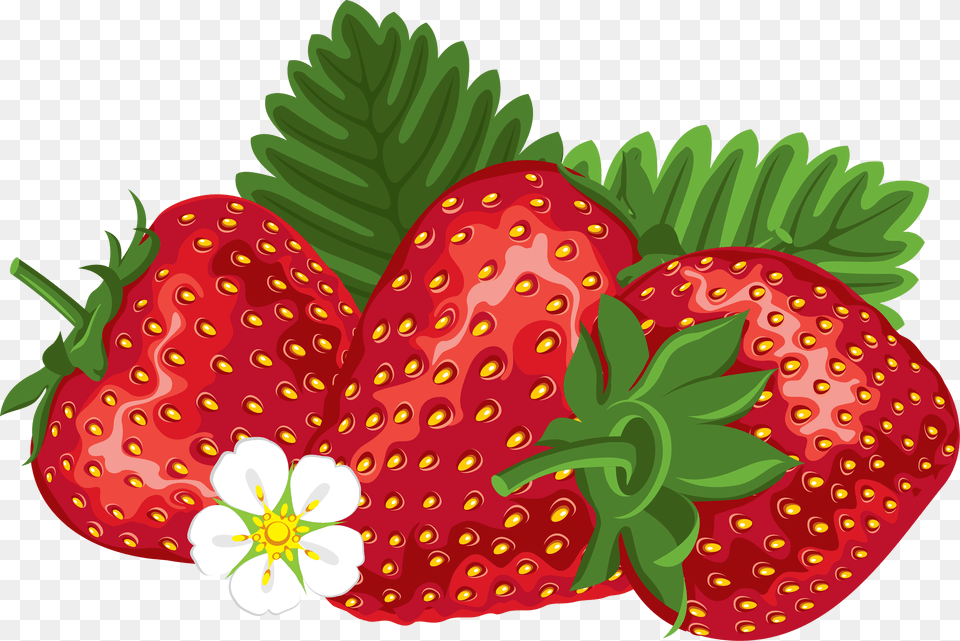 Strawberry, Berry, Food, Fruit, Plant Free Png Download