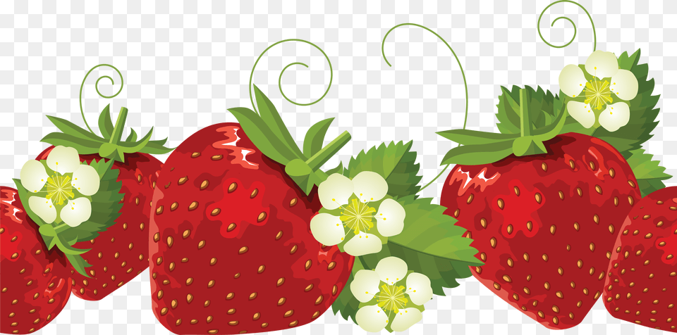 Strawberry, Berry, Food, Fruit, Plant Free Png