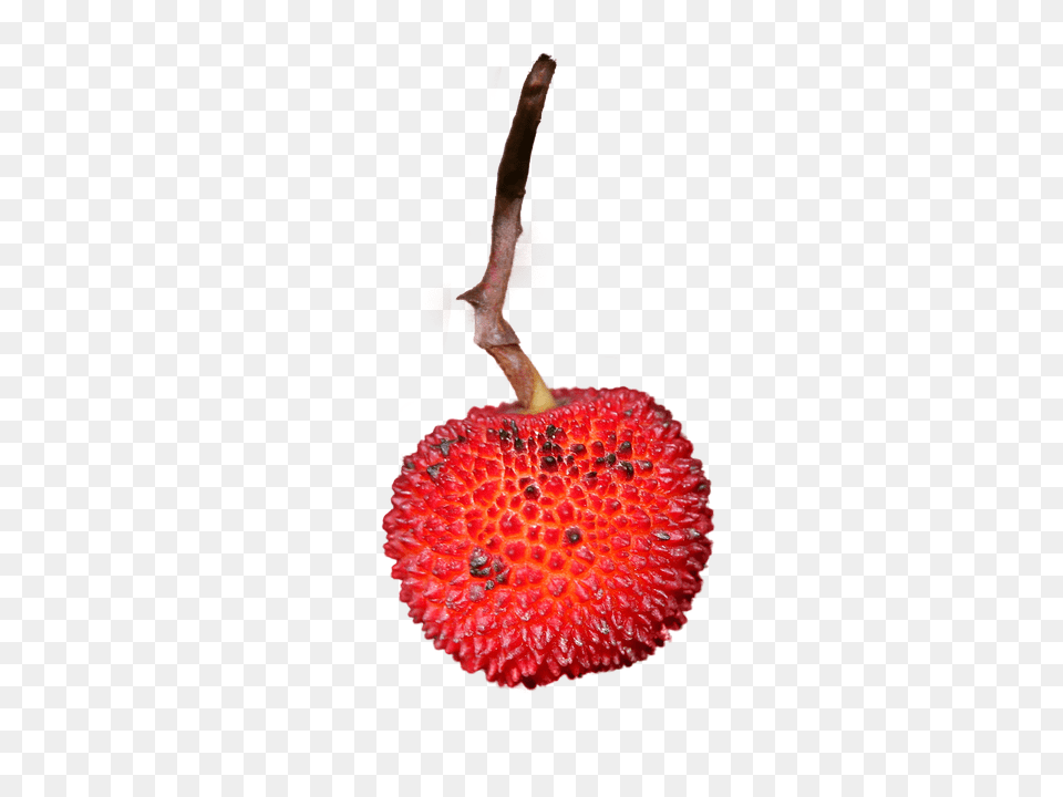 Strawberry Food, Fruit, Plant, Produce Free Png