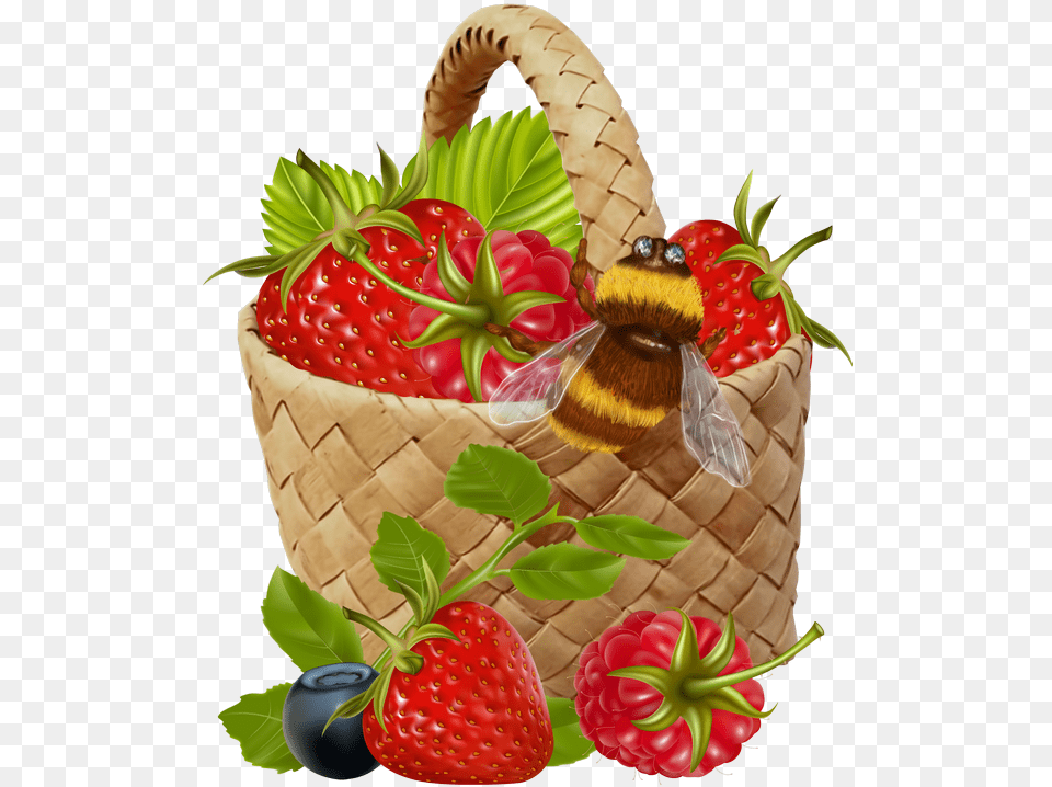 Strawberry, Produce, Plant, Fruit, Food Png Image