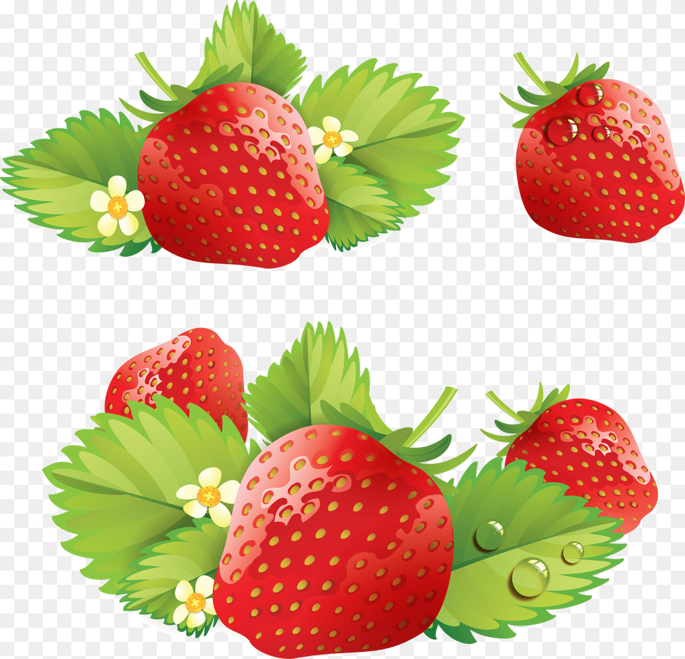 Strawberry, Berry, Food, Fruit, Plant Png