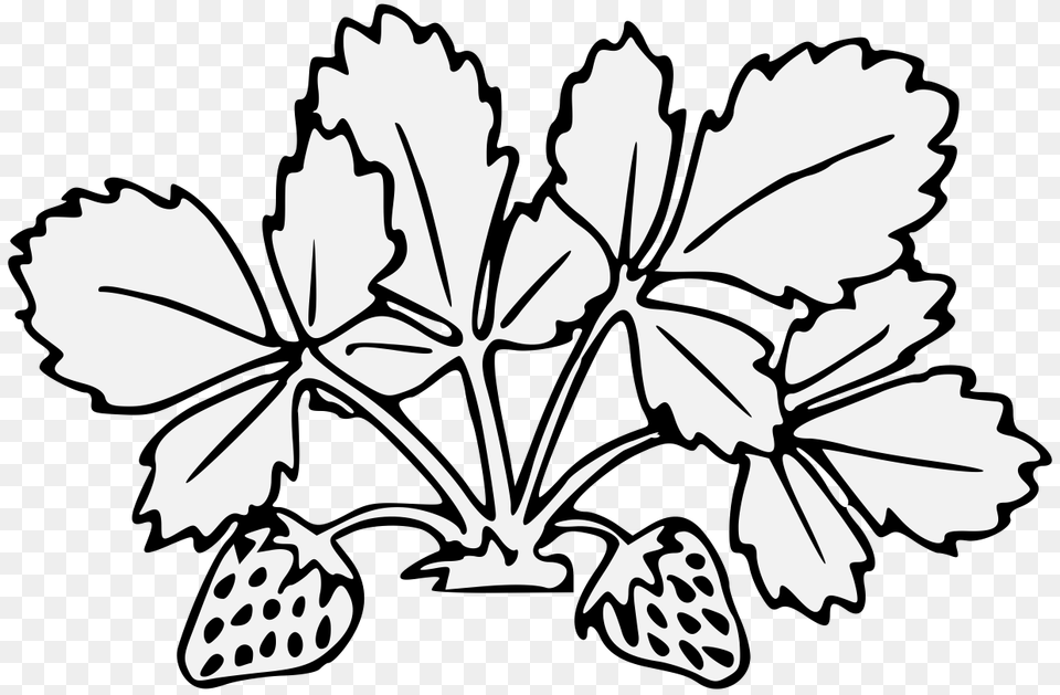 Strawberry, Leaf, Plant, Stencil, Food Free Transparent Png
