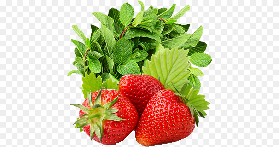Strawberry And Mint Recipe Fitness, Berry, Food, Fruit, Herbs Png