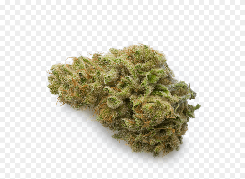 Strawberry Banana White Widow Cannabis, Plant, Weed Png
