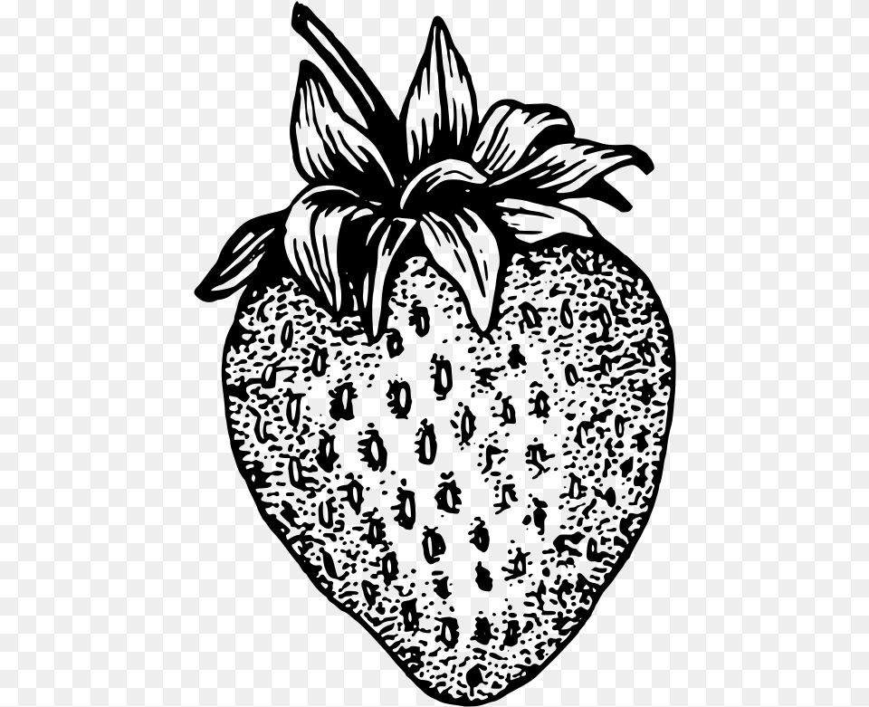 Strawberry Black And White, Gray Png Image