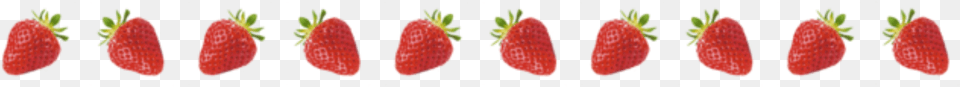 Strawberry Border, Berry, Food, Fruit, Plant Png