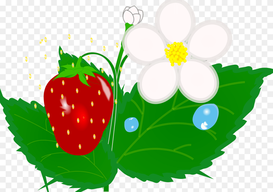 Strawberry Clipart, Berry, Food, Fruit, Plant Free Png Download
