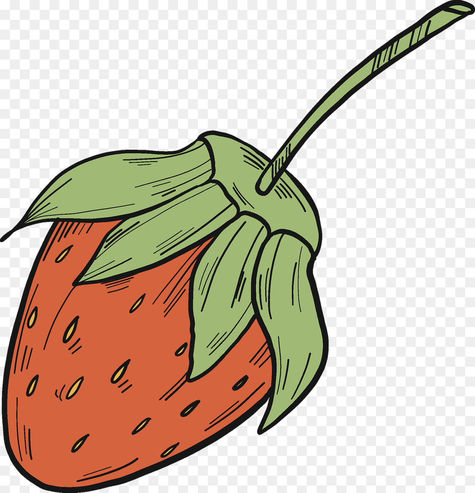 Strawberry Clipart, Berry, Food, Fruit, Plant Free Transparent Png