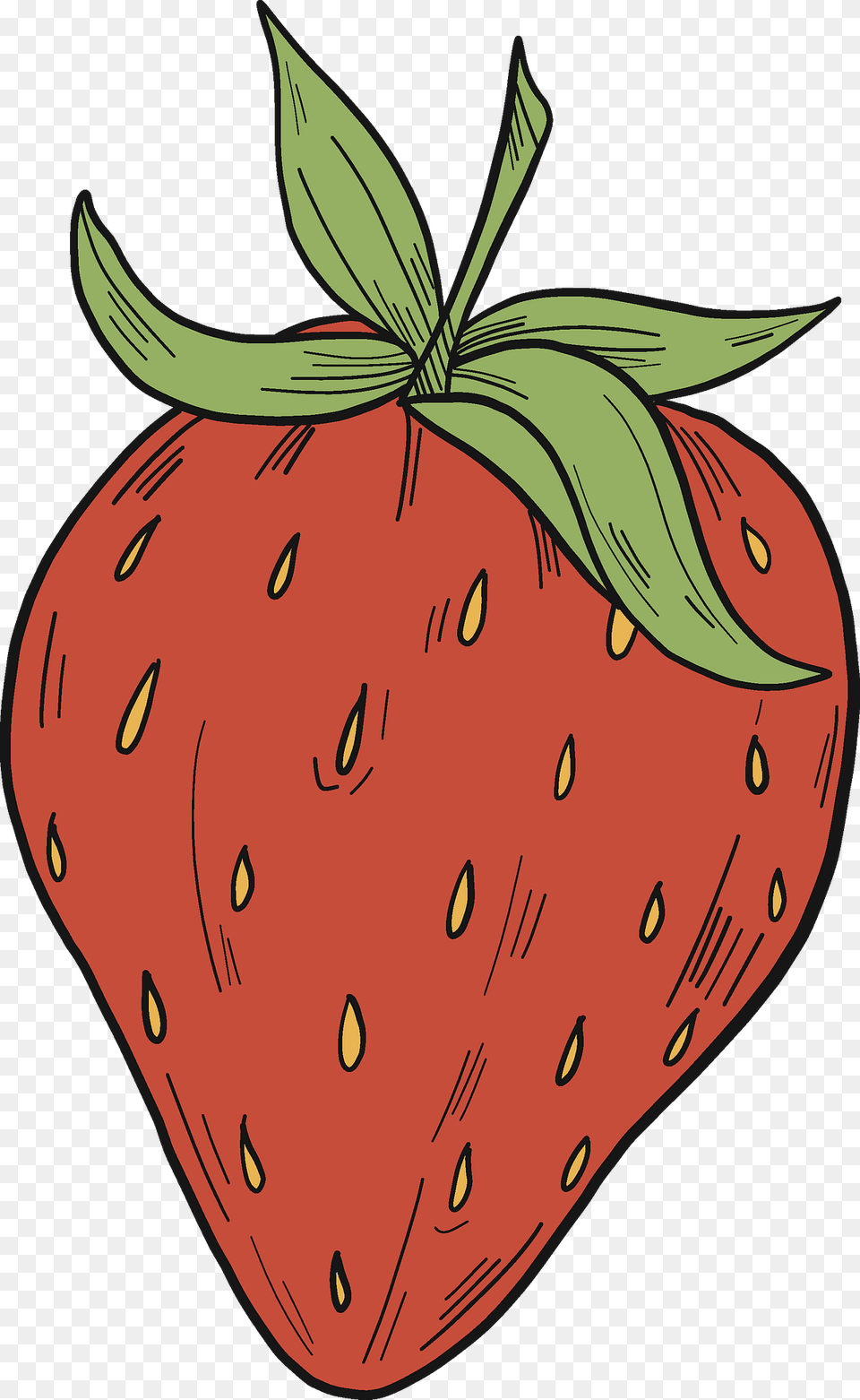 Strawberry Clipart, Berry, Food, Fruit, Plant Free Png Download