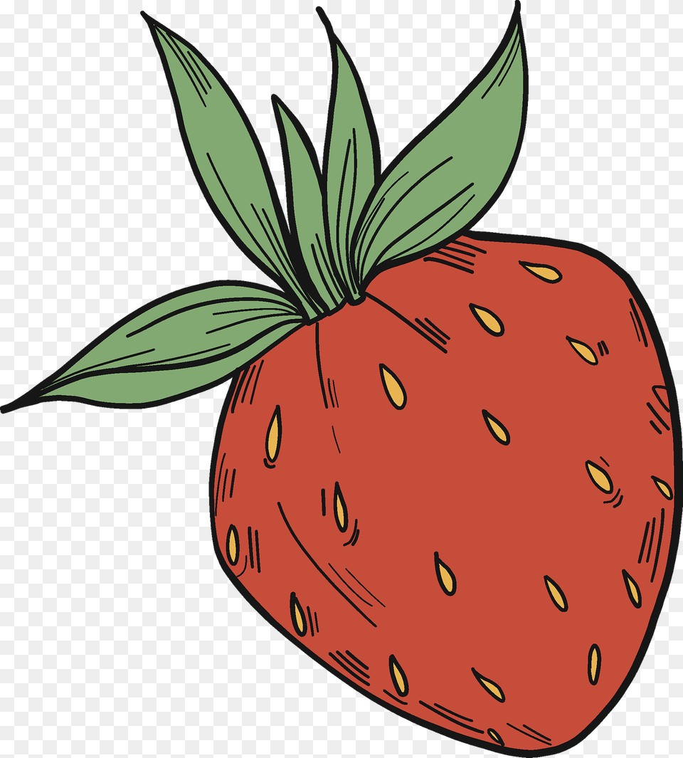 Strawberry Clipart, Berry, Food, Fruit, Plant Png Image