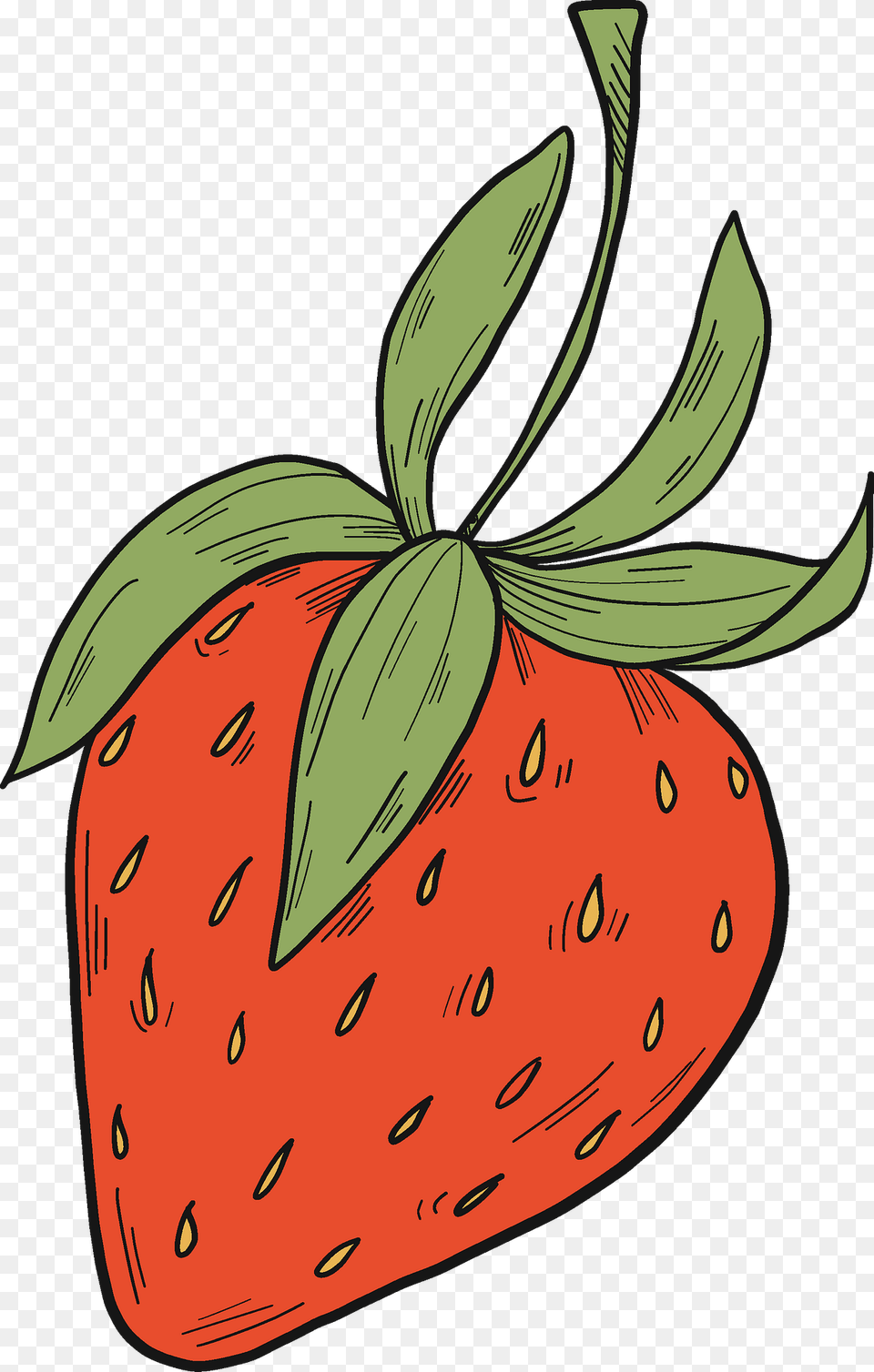 Strawberry Clipart, Produce, Plant, Fruit, Food Free Png