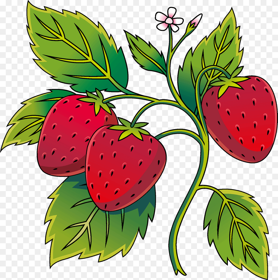 Strawberry Clipart, Berry, Food, Fruit, Plant Free Png Download