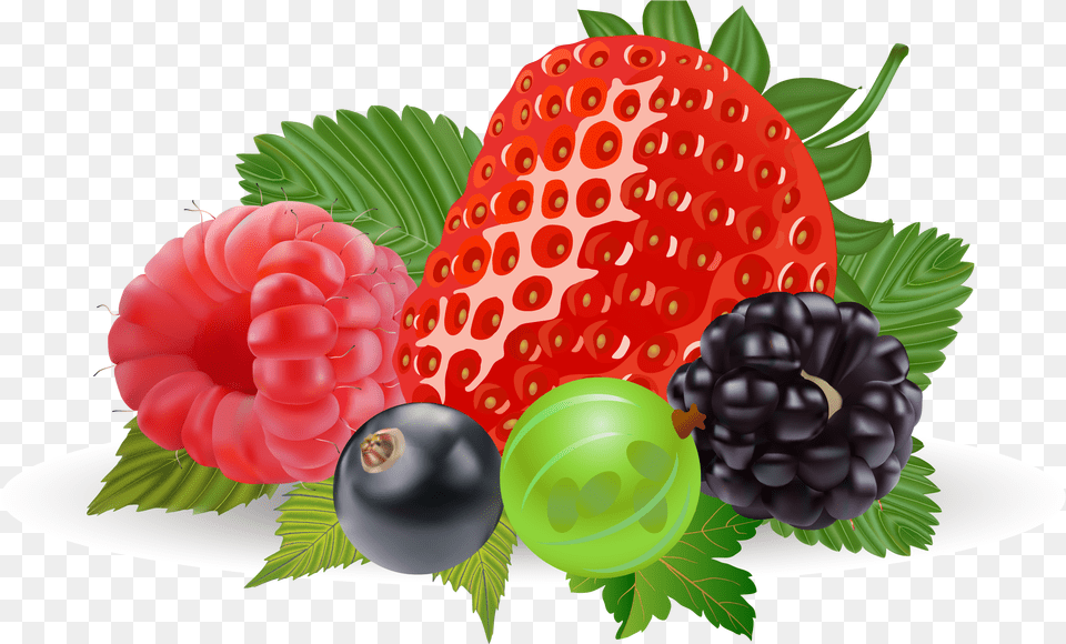 Strawberry Clipart Realistic Berries Clipart, Berry, Food, Fruit, Plant Free Png Download