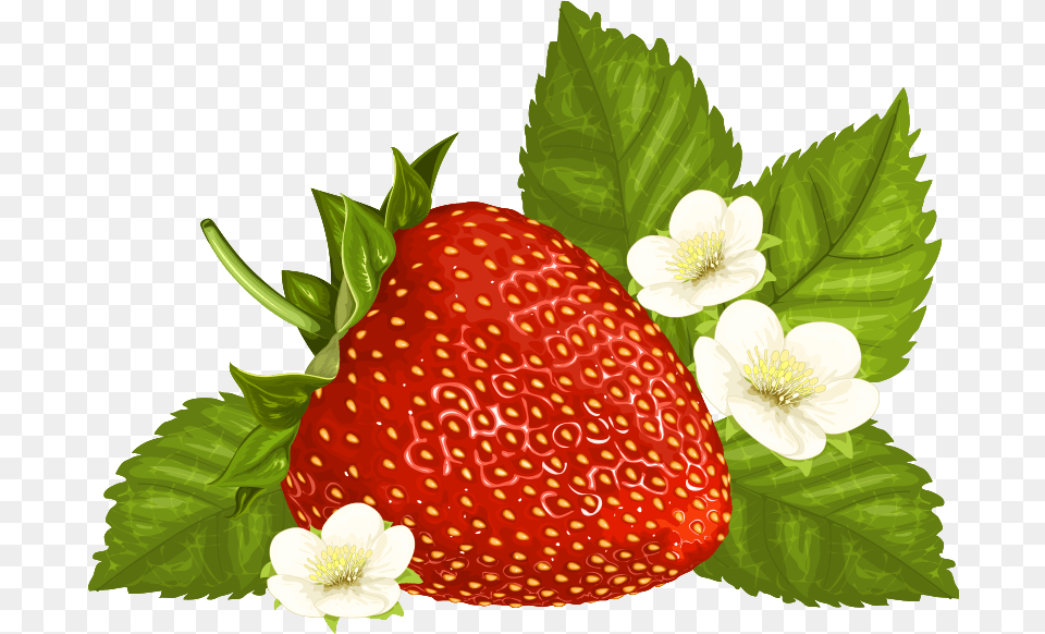 Strawberry Clipart Strawberries Graphic Transparent, Berry, Food, Fruit, Plant Free Png Download