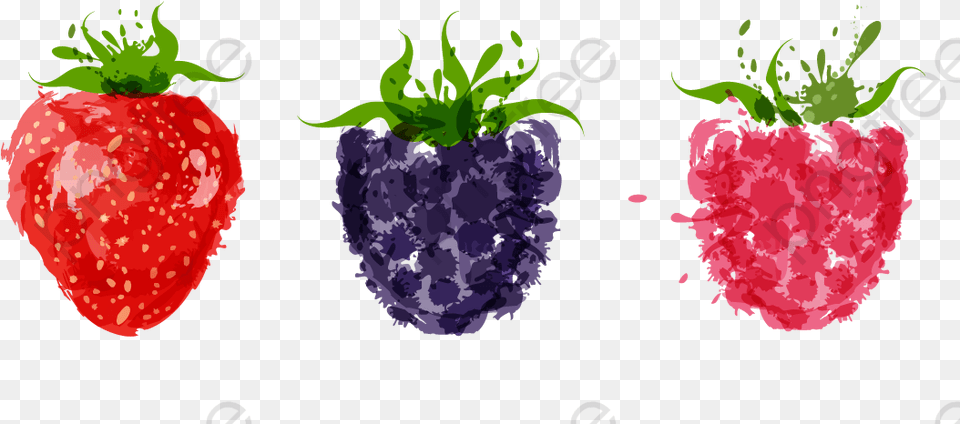 Strawberry Clipart Watercolor Cartoon, Berry, Food, Fruit, Plant Png
