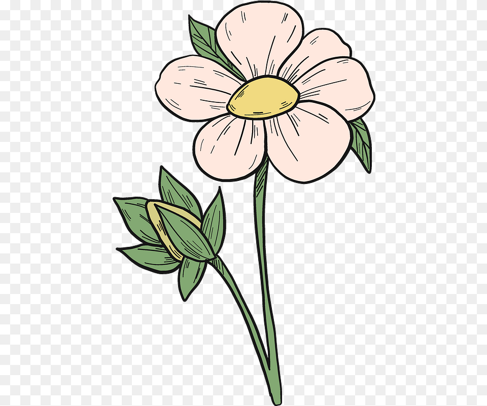 Strawberry Flower Clipart Flower Clipart, Anemone, Daisy, Plant, Art Png Image