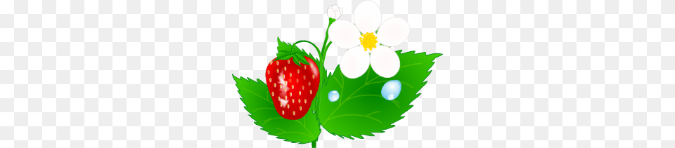 Strawberry Flower Jh Clip Art, Berry, Food, Fruit, Plant Free Png Download
