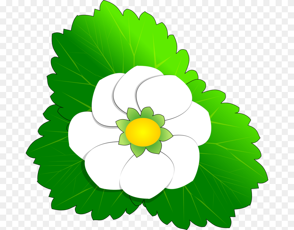 Strawberry Fruit Blueberry Flower, Leaf, Anemone, Green, Plant Free Png Download