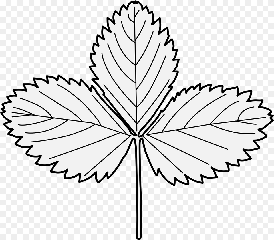 Strawberry Leaves Black And White, Leaf, Plant, Animal, Fish Free Transparent Png