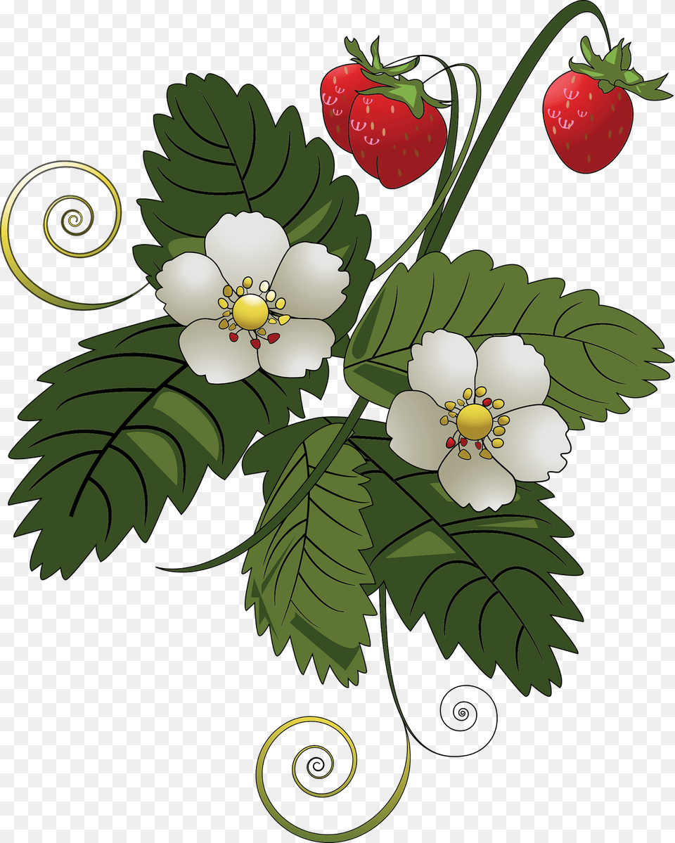 Strawberry Plant Clipart, Berry, Produce, Food, Fruit Free Transparent Png