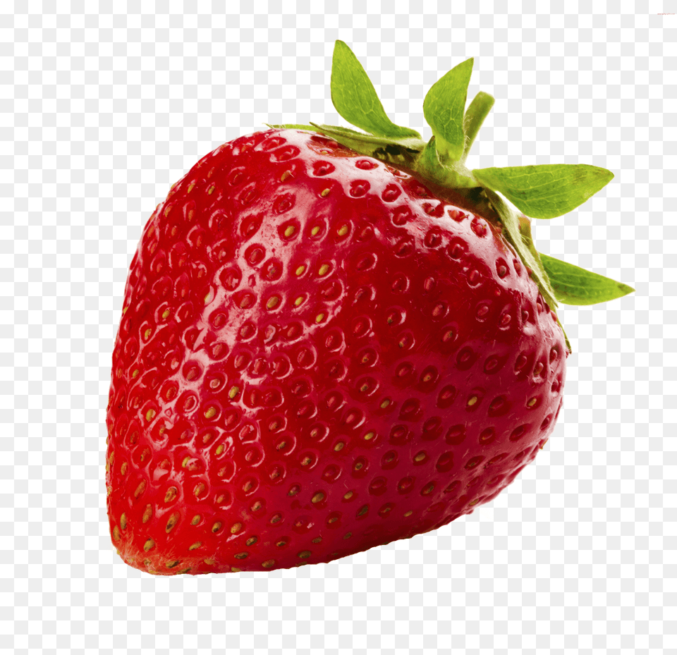 Strawberry Solo, Berry, Food, Fruit, Plant Png Image