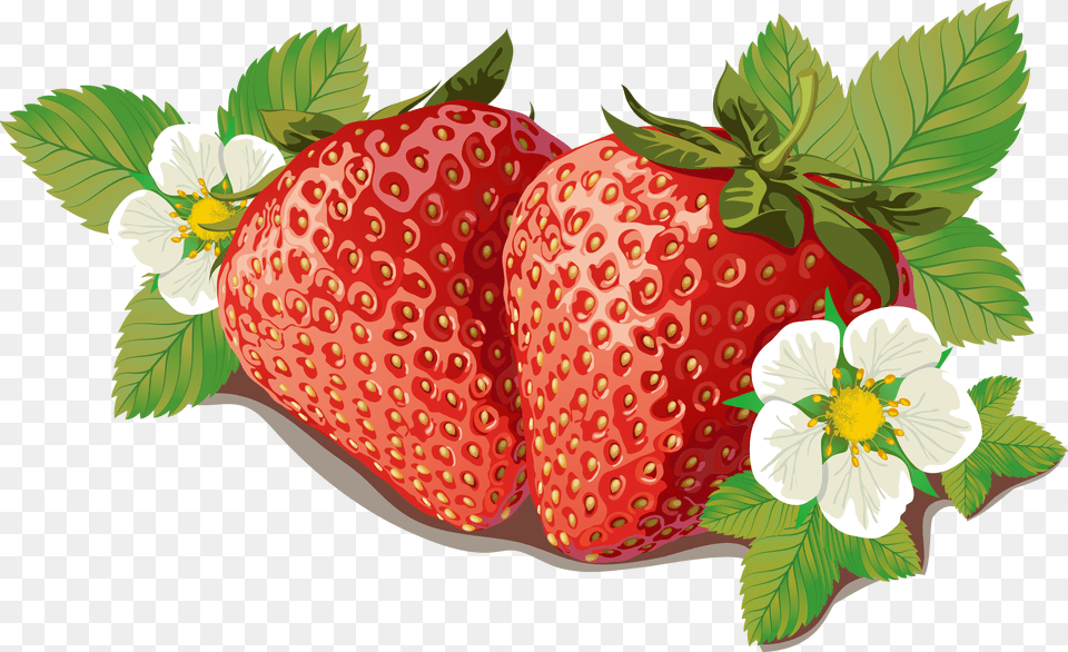 Strawberry Vector Strawberry Vector, Berry, Food, Fruit, Plant Png Image