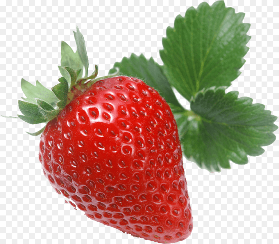 Strawberry Vector Wild Strawberries In, Berry, Food, Fruit, Plant Free Png